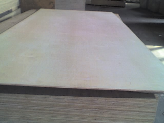 Birch Plywood