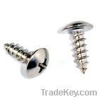 Truss head self tapping screws