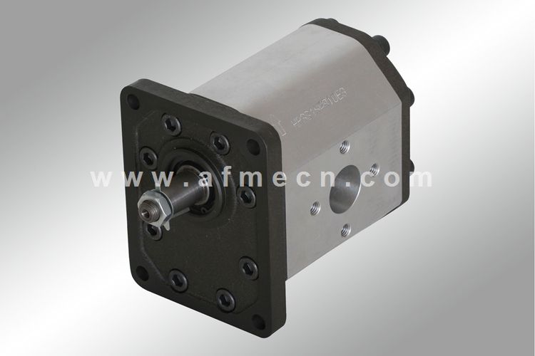 Hydraulic Gear Pumps