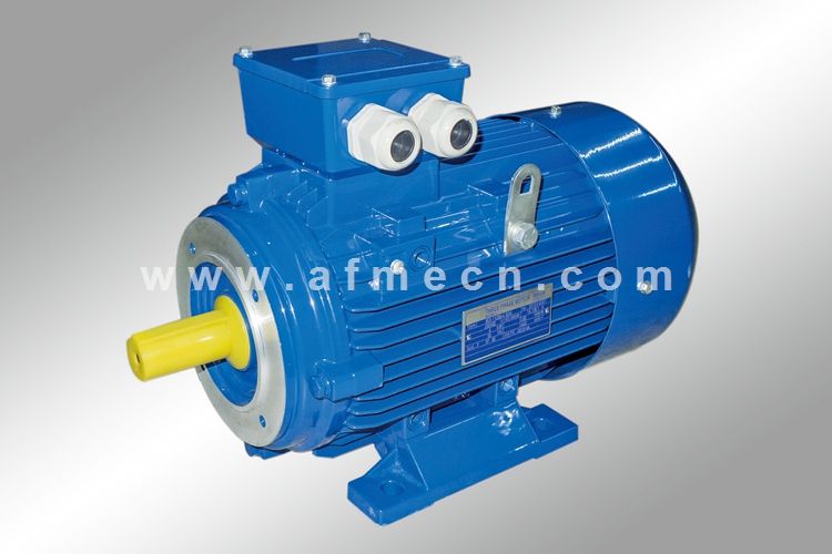 IE1 Standard Efficiency Three Phase AC Motors