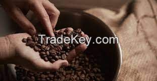 For Import Good Quality Raw Coffee Beans