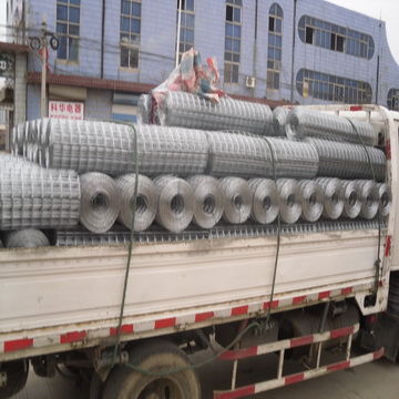 welded wire mesh