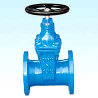 Check valve