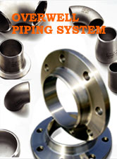 Stainless steel flanges