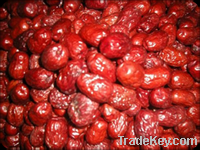 Chinese jujube