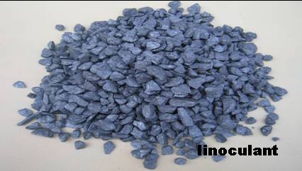 inoculant, nodularizer