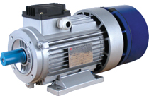 YEJ AC Brake Motor