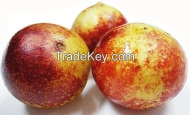 camu camu powder