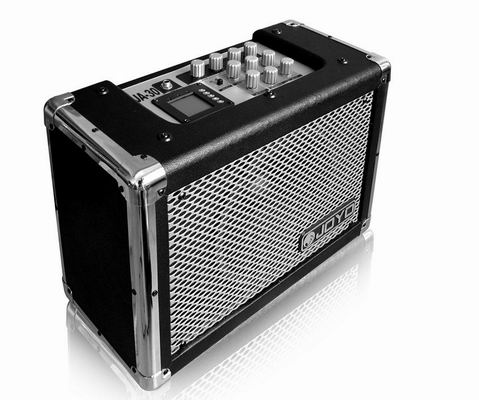 Electric Guitar Amplifier