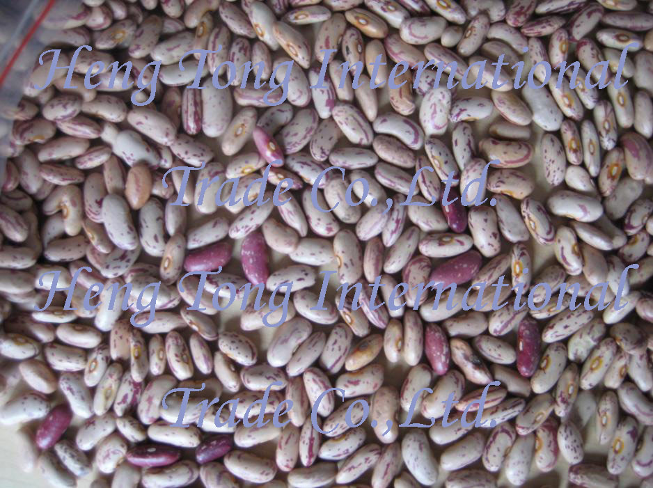 Light Red Speckled Kidney Bean