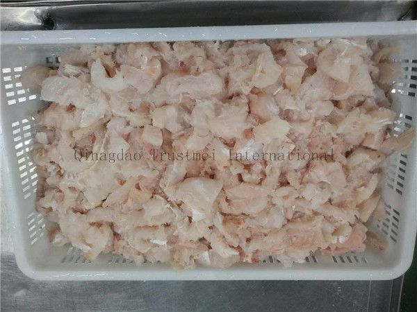 Hoki fillets, portions, loins, blocks