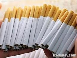 Tabacco cigarettes