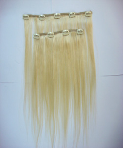 Human Hair Extensions