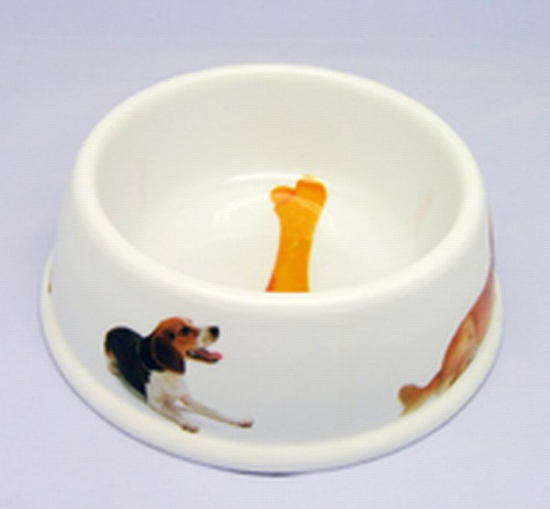 Pet Bowl