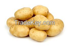 Fresh Potato Diamond