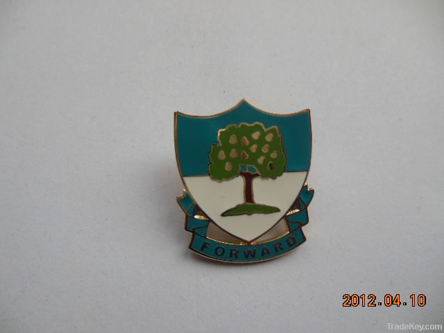 lapel pin