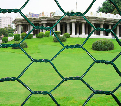 Hexagonal Wire Netting/Hexagonal Chicken Wire