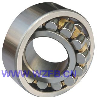Double-row cylindrical roller bearings