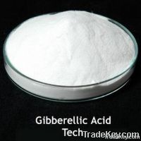 Gibberellic Acid ( GA3) 90% TC