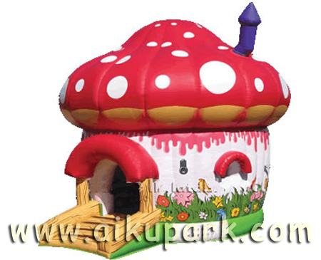 inflatable bouncer/jumper/castle/bouncy castle/combo