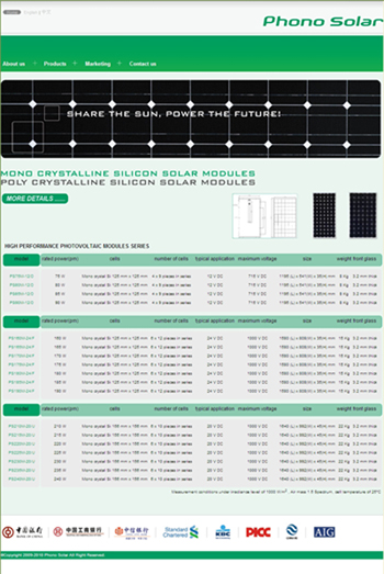 MONO CRYSTALLINE SILICON MODULE