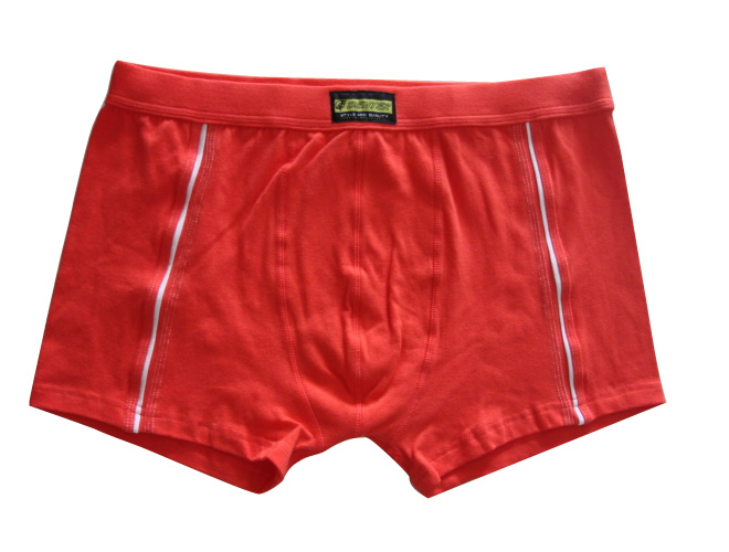 Men&#039;s Boxer