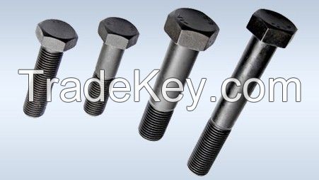  Hex Head Bolts & Screws