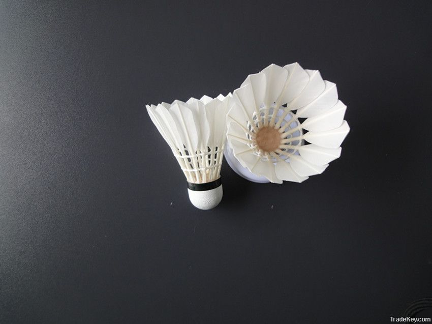 Middle size Class A goose feather badminton shuttlecock