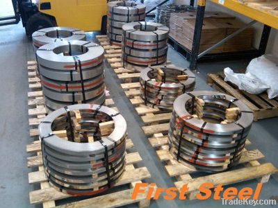 Stainless Steel Strip