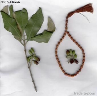 Tasbih of Olive Seeds