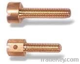 Brass Screw