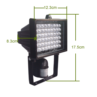 Security Flood Light DVR