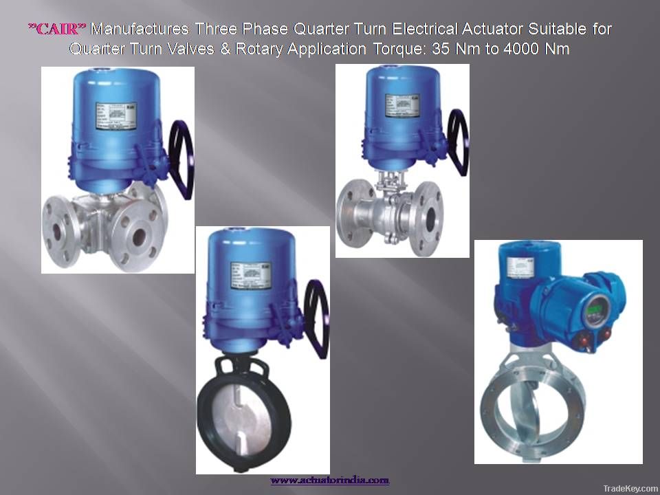 Electric Actuators