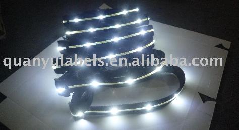 Dog Collar/LED flashing dog collar