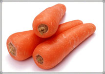 Fresh Carrot