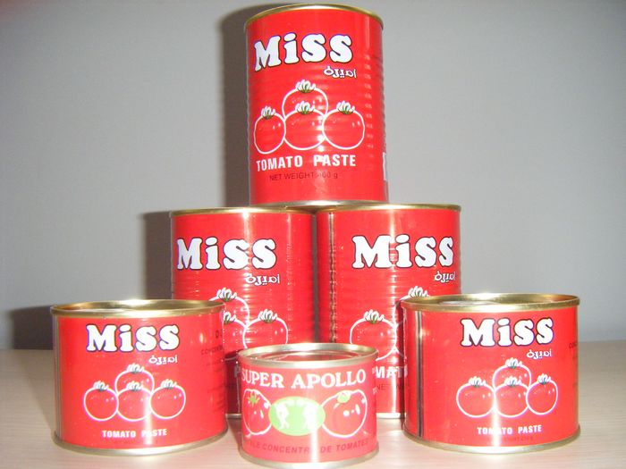 CANNED TOMATO PASTE