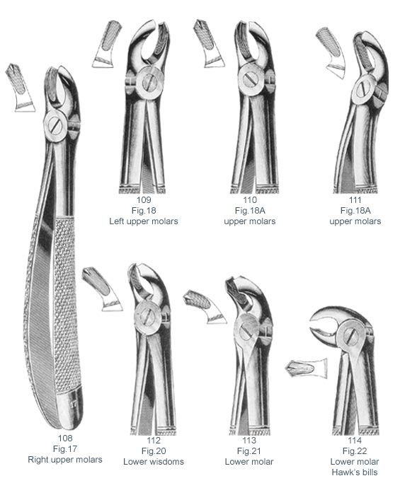 Extracting Forceps