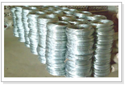 Galvanized Iron Wire mesh