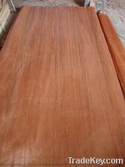 MLH Veneer