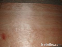 Red Canarium Veneer