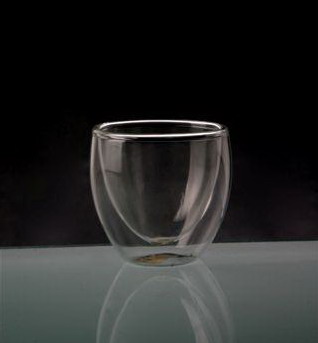 Double Wall Glass Cup