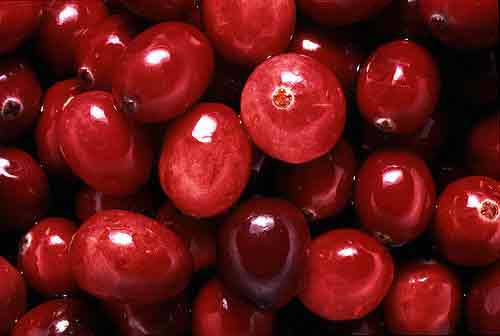 Cranberry Extract