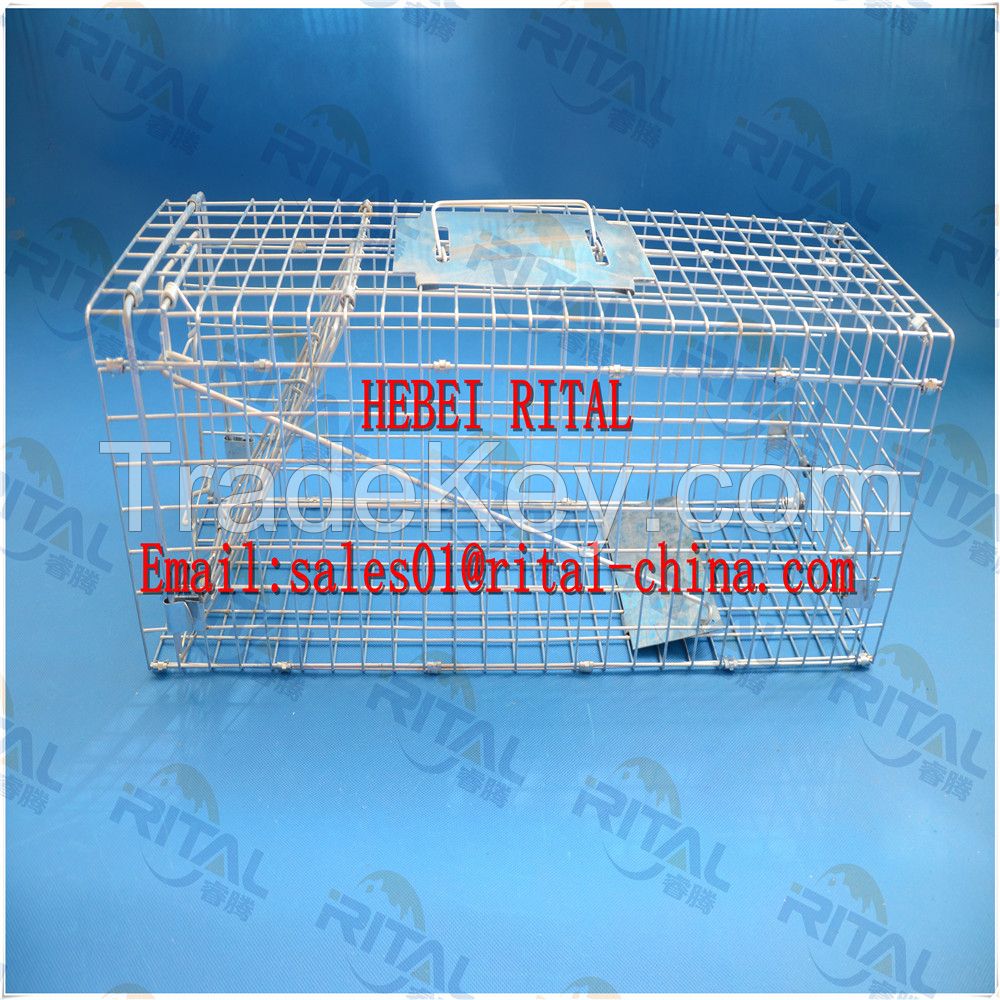 Live Animal Trap Cage Cat Rabbit Squirrel Weasel Rat Skunk Catch Release Humane