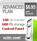 Internet Hosting - Advanced Plan!