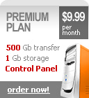 Internet Hosting - Premium Plan!