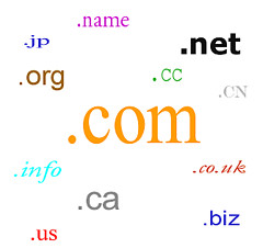 Domain Name Registration