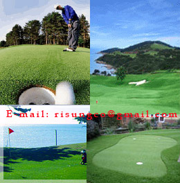 Artificial Lawn for Golf Court