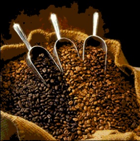 Export Arabica Coffee Beans | Arabica Coffee Bean Importer | Arabica Coffee Beans Buyer | Buy Arabica Coffee Beans | Arabica Coffee Bean Wholesaler | Arabica Coffee Bean Manufacturer | Best Arabica Coffee Bean Exporter | Low Price Arabica Coffee Beans | B