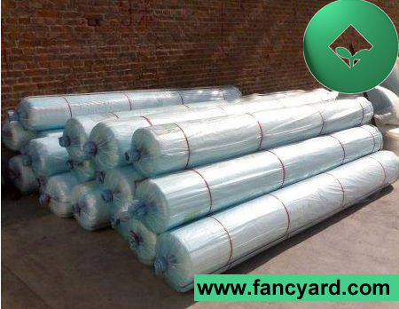 Plastic Film, Greenhouse Film, Agricultural Film, Covering Film, Poly Film