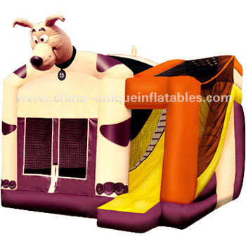 Inflatable Slides